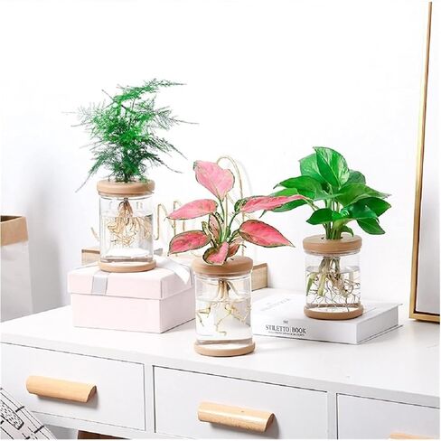 Transparent Plant Vase, Hydroponic Flower Pot with Silicone Lid, Indoor Plant Propagation Station - Suitable for Living Room and Office Desk Decoration in Saudi Arabia