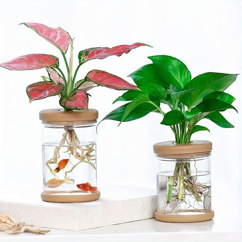 Transparent Plant Vase, Hydroponic Flower Pot with Silicone Lid, Indoor Plant Propagation Station - Suitable for Living Room and Office Desk Decoration in Saudi Arabia