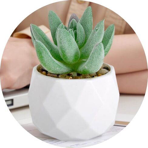 Fake Succulent Plant Artificial Succulent Plants for Desk Realistic Faux Succulents in Plastic Pots Mini Colorful Succulent Decor for Bedroom Bathroom Office Shelf Decor (Pink C) in Saudi Arabia