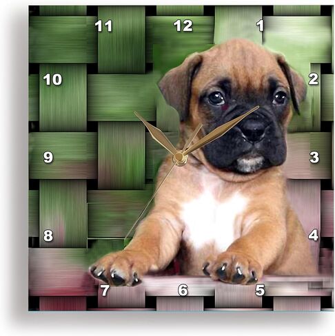 ساعة حائط 3dRose LLC Brindle Boxer Puppy مقاس 10 × 10 بوصة in Saudi Arabia