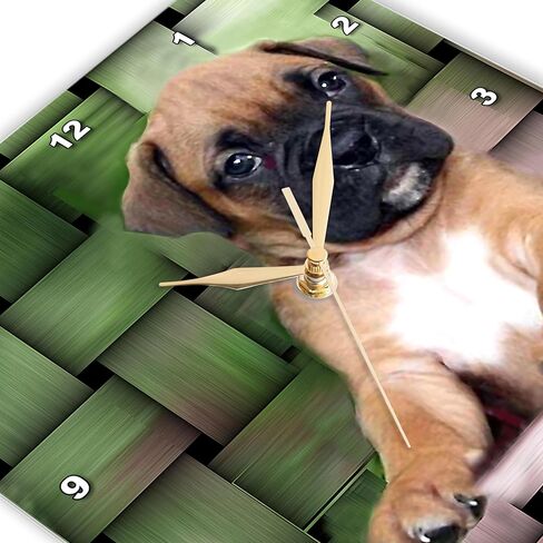 ساعة حائط 3dRose LLC Brindle Boxer Puppy مقاس 10 × 10 بوصة in Saudi Arabia
