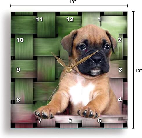 ساعة حائط 3dRose LLC Brindle Boxer Puppy مقاس 10 × 10 بوصة in Saudi Arabia