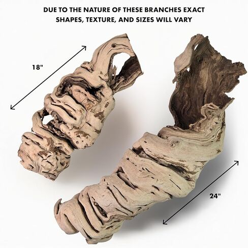 Koyal Wholesale 24" Hollow Grapewood Branch Decor 1Pcs Grapewood Centerpiece Vase Air Plants Sand Blasted Grapevine Wood Untreated Terrarium Wood Driftwood Decor in Saudi Arabia