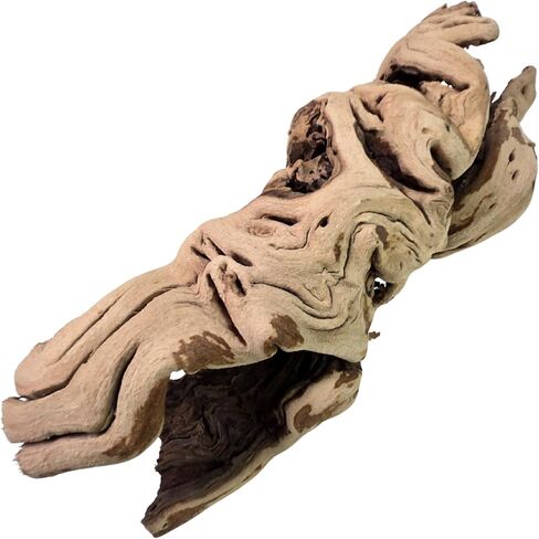 Koyal Wholesale 24" Hollow Grapewood Branch Decor 1Pcs Grapewood Centerpiece Vase Air Plants Sand Blasted Grapevine Wood Untreated Terrarium Wood Driftwood Decor in Saudi Arabia