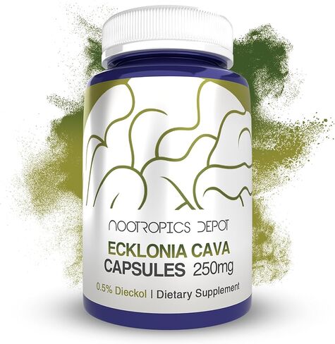 Nootropics Depot Ecklonia cava Capsules | 250mg | 0.5% Dieckol | Brown Seaweed | 120 Count in Saudi Arabia
