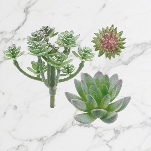 3Pack Artificial Succulent Plants Realistic Fake Greenery Assorted Double Flocked Succulents Mini Arrangement Decorative Stems in Saudi Arabia