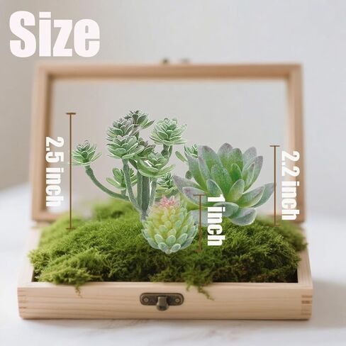 3Pack Artificial Succulent Plants Realistic Fake Greenery Assorted Double Flocked Succulents Mini Arrangement Decorative Stems in Saudi Arabia