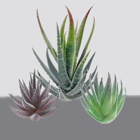 3Pack Artificial Succulent Plants Realistic Fake Greenery Assorted Double Flocked Succulents Mini Arrangement Decorative Stems in Saudi Arabia