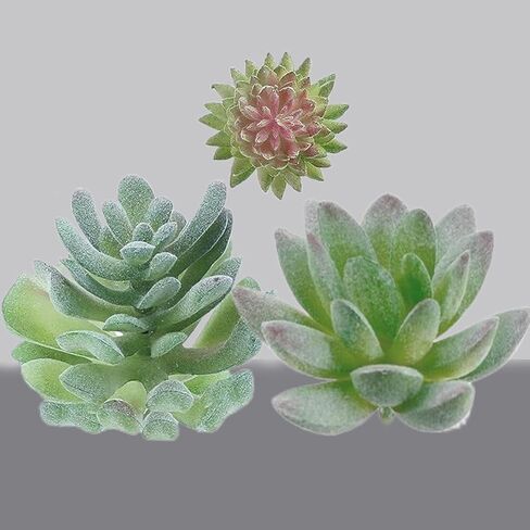 3Pack Artificial Succulent Plants Realistic Fake Greenery Assorted Double Flocked Succulents Mini Arrangement Decorative Stems in Saudi Arabia