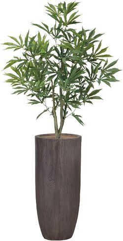 36" Fake Weed Plant in Rope Basket | Fun Home Decorations | College Decorations | Cannabis Décor in Saudi Arabia