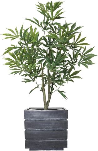 36" Fake Weed Plant in Rope Basket | Fun Home Decorations | College Decorations | Cannabis Décor in Saudi Arabia