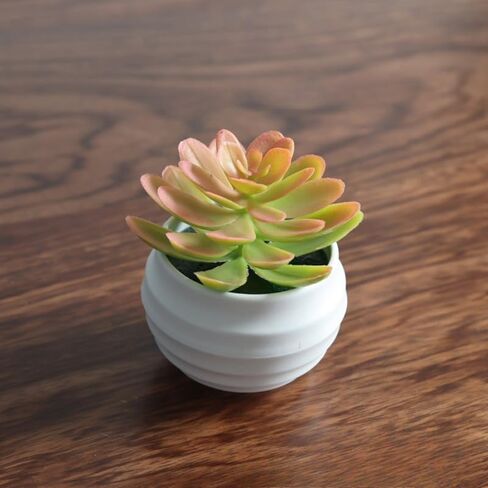 Mini Artificial Succulents Plants Bonsai Faux Succulent Plant Potted Tabletop Greenery Ornaments Home Decoration 5.5 * 8.5cm(Deep Green) in Saudi Arabia