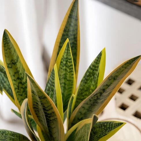 Artificial Snake Plants,Faux Snake Plant 14" Tropical Fake Plants Mini Tongue Plant for Home, Office & Garden Décor,Without Vase (4pcs) (Yellow-Green) in Saudi Arabia