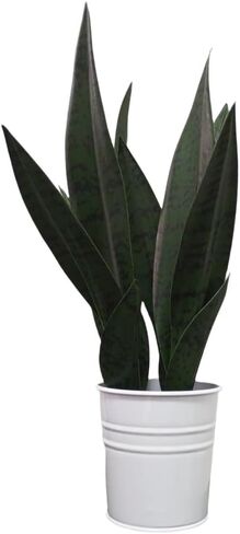 Artificial Snake Plants,Faux Snake Plant 14" Tropical Fake Plants Mini Tongue Plant for Home, Office & Garden Décor,Without Vase (4pcs) (Yellow-Green) in Saudi Arabia