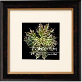 إطار صورة عتيق من Eitida مقاس 11 × 14 من الخشب البني والذهبي بلونين، حصيرة كريمية للصور مقاس 8 × 10، طباعة فنية، غطاء زجاجي حقيقي، جاهز للعرض على الحائط أو سطح الطاولة، الجزء الداخلي ذهبي in Kuwait