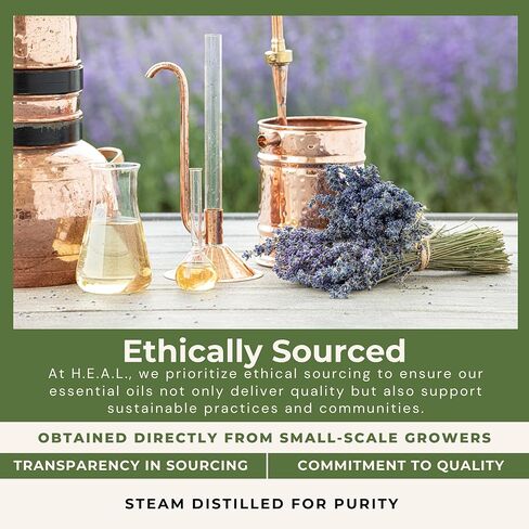 مزيج الزيوت العطرية المنعشة من هيل - الليمون والليمون والنعناع، ​​1 أونصة in Kuwait