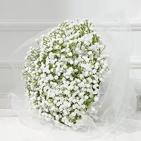 STSTECH Babys Breath زهور صناعية، سيقان قابلة للتعديل، خالية من الصيانة، باقة جيبسوفيلا صناعية مقاس 21 بوصة لديكور المنزل، وحفلات الزفاف، والحفلات، والحرف اليدوية (12 قطعة) in Kuwait