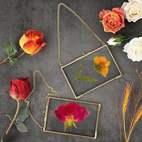 JUXYES 4 Pack Wall Hanging Brass Pictures Frame for Pressed Flowers, Golden Glass Hanging Picture Artwork Display Frame, Double Glass Floating Frame Style for Photo Picture Poster etc, 4X6 Inches in Saudi Arabia