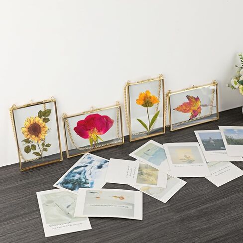 JUXYES 4 Pack Wall Hanging Brass Pictures Frame for Pressed Flowers, Golden Glass Hanging Picture Artwork Display Frame, Double Glass Floating Frame Style for Photo Picture Poster etc, 4X6 Inches in Saudi Arabia