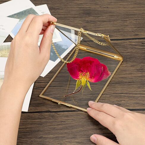 JUXYES 4 Pack Wall Hanging Brass Pictures Frame for Pressed Flowers, Golden Glass Hanging Picture Artwork Display Frame, Double Glass Floating Frame Style for Photo Picture Poster etc, 4X6 Inches in Saudi Arabia