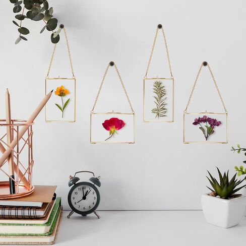 JUXYES 4 Pack Wall Hanging Brass Pictures Frame for Pressed Flowers, Golden Glass Hanging Picture Artwork Display Frame, Double Glass Floating Frame Style for Photo Picture Poster etc, 4X6 Inches in Saudi Arabia