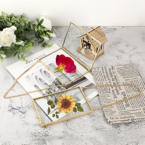 JUXYES 4 Pack Wall Hanging Brass Pictures Frame for Pressed Flowers, Golden Glass Hanging Picture Artwork Display Frame, Double Glass Floating Frame Style for Photo Picture Poster etc, 4X6 Inches in Saudi Arabia