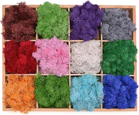 20g/Bag Artificial Green Plants Eternal Life Moss DIY Crafts Grass Home Living Room Garden Decoration Mini Landscape Fake Grass (B10) in Saudi Arabia