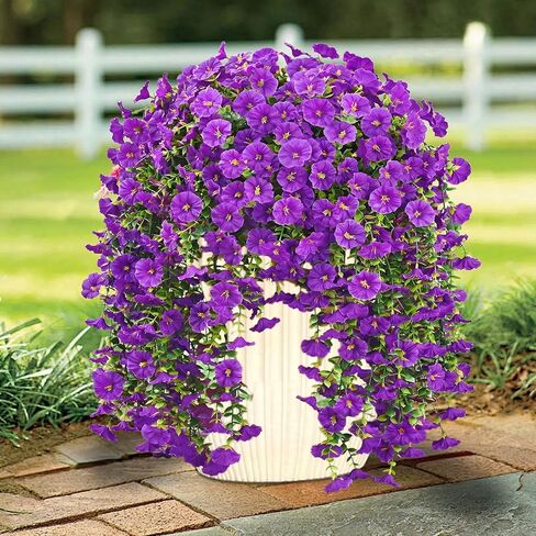 Lumiere Blooms Rich and Eye-catching 5 PCS Artificial Hanging Flowers，Silk Morning Glory Faux Flowers with Eucalyptus Leaves,uv Resistant Fake Hanging Petunias Plants for Yard Decoration(Purple) in Saudi Arabia