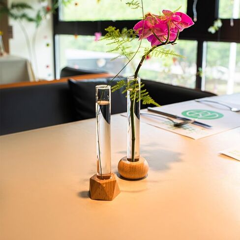 Pentagonal Base Hydroponic Vase for Flower Arrangements, Elegant Test Tube Design Plant Holder, Modern Tabletop Decor for Home Living Room & Office in Saudi Arabia