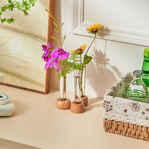Pentagonal Base Hydroponic Vase for Flower Arrangements, Elegant Test Tube Design Plant Holder, Modern Tabletop Decor for Home Living Room & Office in Saudi Arabia