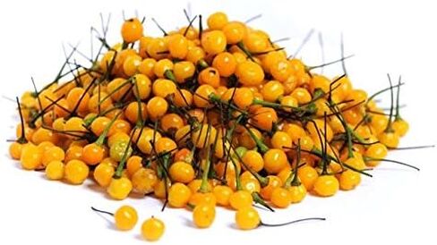 Aji Charapita,Hot Pepper, 25 Seeds, Little Yellow fire Balls!" in Saudi Arabia