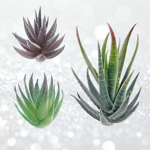 Artificial Succulent Plants, 3 Pack Small Fake Plants Faux Succulents Plant Unpotted for Home Garden Decoration DIY (A) in Saudi Arabia