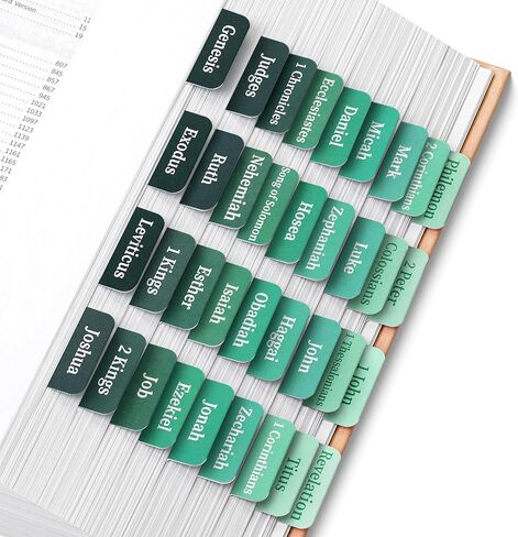 Mr. Pen- Bible Tabs, 75 Tabs, Oak Forest, Laminated Bible Tabs for Women and Men, Bible Tabs for Study Bible, Bible Index Tabs, Bible Book Tabs, Bible Labels Tabs, Mr Pen Bible Tabs in Kuwait