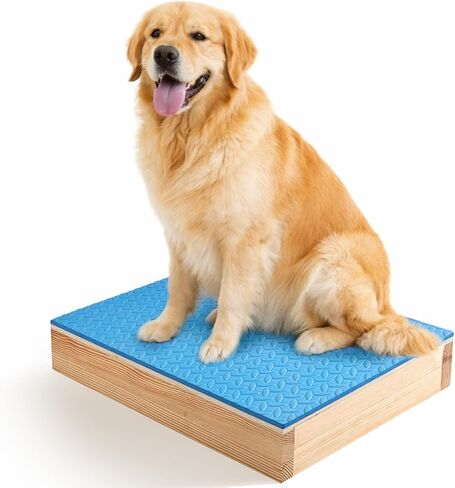 Chunful Dog Training Platform Non-Skid Surface Place Boards for Dog Portable Agility Training Equipment Pivot Box for Indoor or Outdoor Use Puppy Stand Place Boards in Kuwait