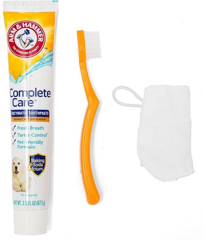 ARM & Hammer for Pets Complete Care Cat & Kitten Dental Kit | يتضمن 2.5 أوقية معجون أسنان القط الأنزيمي ، وفرشاة أسنان القط ، وفرشاة إصبع المطاط للقطط in Kuwait