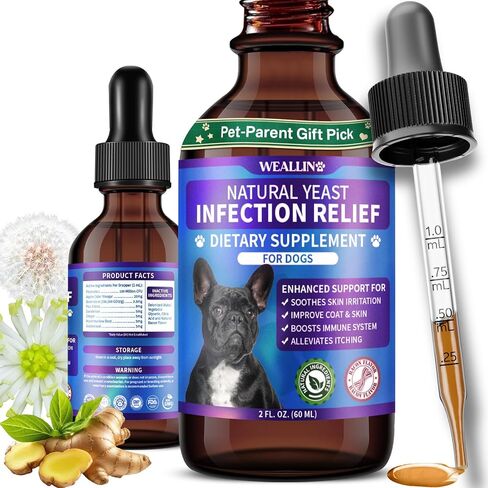 Natural Yeast Infection Treatment for Dogs | Probiotic-Powered Drops with 8-Herbal Blend | Supports Skin, Ears, Allergy Relief | Dog Yeast Infection Treatment Oral Supplement | Bacon-Flavored in Kuwait