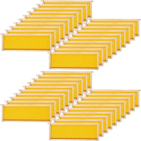 BeeCastle 20-Pack Beehive Bee Frames Waxed Foundation with Complete Unassembled Commercial Frames, 6-1/4-Inch (Yellow) in Saudi Arabia
