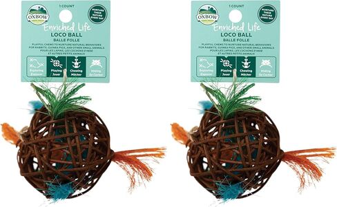 Oxbow Enriched Life Loco Ball, Rabbit Toys, Guinea Pig Toys, Enrichment for Bunny, Hamster, Rabbit, Chinchilla, Rat, Chinchilla Cage Accessories, Guinea Pig Accessories for Cage in Saudi Arabia
