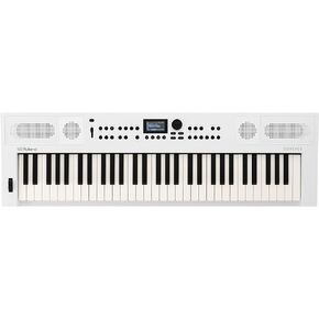 Roland GO:KEYS 5 Music Creation Keyboard | 61-Note Keyboard | Built-In Stereo Speakers | Mic Input | Bluetooth Audio/MIDI Support for Music Streaming - Graphite