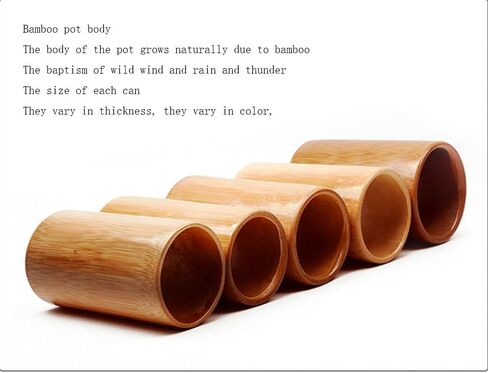 LANYANZI Home moxibustion Pot Fumigator, Small moxibustion Gun moxibustion Fumigator, Four-Legged Support moxibustion Cylinder, Whole Body moxibustion Pot (Using qualityNanzhu Bamboo) in Saudi Arabia