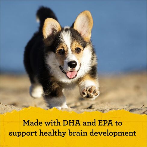 حقيبة Zuke's Puppy Naturals من مكافآت الجراء الناعمة للتدريب، مكافآت طبيعية للكلاب مع وصفة سمك السلمون - حقيبة 5.0 أونصة in Kuwait
