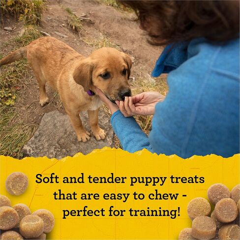 حقيبة Zuke's Puppy Naturals من مكافآت الجراء الناعمة للتدريب، مكافآت طبيعية للكلاب مع وصفة سمك السلمون - حقيبة 5.0 أونصة in Kuwait