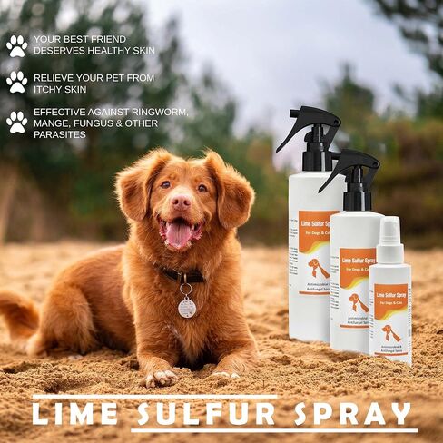 Classic's Lime Sulfur Spray Pet Care for Dry and Itchy Skin - Spotcare and Safe Solution for Dog, Cat, Puppy, Kitten, Horse (12 oz) in Saudi Arabia
