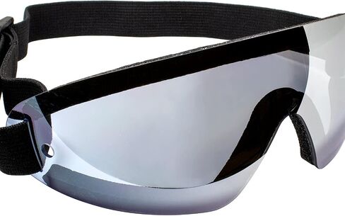 Birdz Eyewear Wing Sports Goggles w/Padded Frame Blue Lenses Great for Skydiving Watersports Motorcycle & They Float in Saudi Arabia
