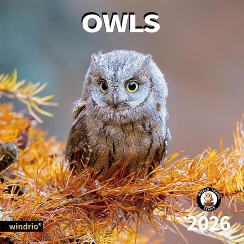 2026 Wall Calendar,Calendar 2026, July 2025 - December 2026, Wall Calendar Owls, 12" x 24" Opened,Full Page Months Thick & Sturdy Paper for Gift Perfect Calendar Organizing & Planning in Kuwait