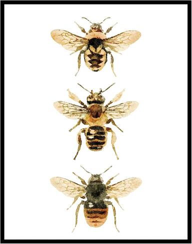 طباعة فنية للنحل، فن جدار النحل، ديكور حضانة النحل، ديكور فني جداري لحضانة البنات، فن جداري لمحبي النحل، نوع النحل، النحلة بنفسك، لوحة فنية جدارية للنحل بالألوان المائية، بدون إطار (8 × 10 بوصة) in Kuwait