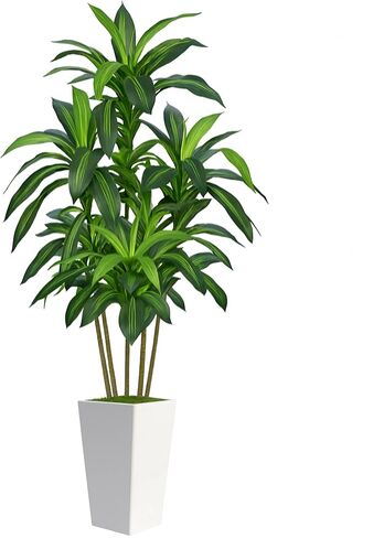 6FT Artificial Dracaena Tree, Fake Tree Indoor with White Tall Planter,Tall Artificial Plants Indoor,Artificial Silk Tree for Home Office Decor,Housewarming Gift (White) in Saudi Arabia