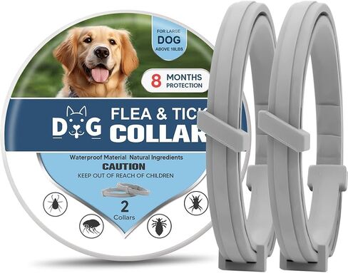 Dog Collars, Naturally in Saudi Arabia