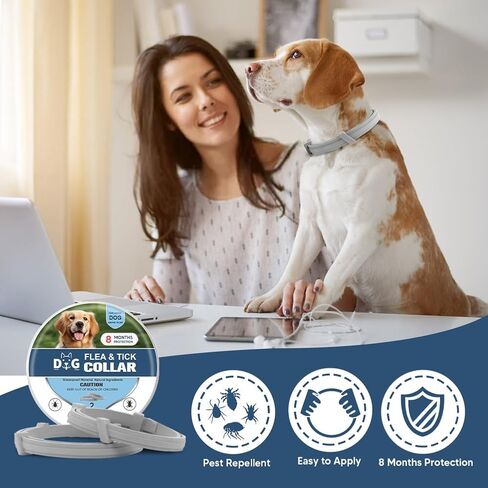 Dog Collars, Naturally in Saudi Arabia