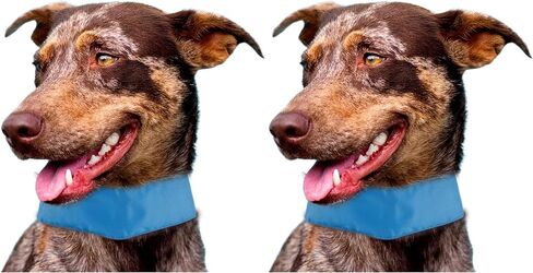 Pet Life ® Summer-Cooling' Insert Able and Adjustable Cooling Ice Pack Dog Neck Wrap in Saudi Arabia